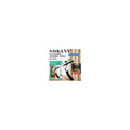 Balanza digital SOKANY SK-19035